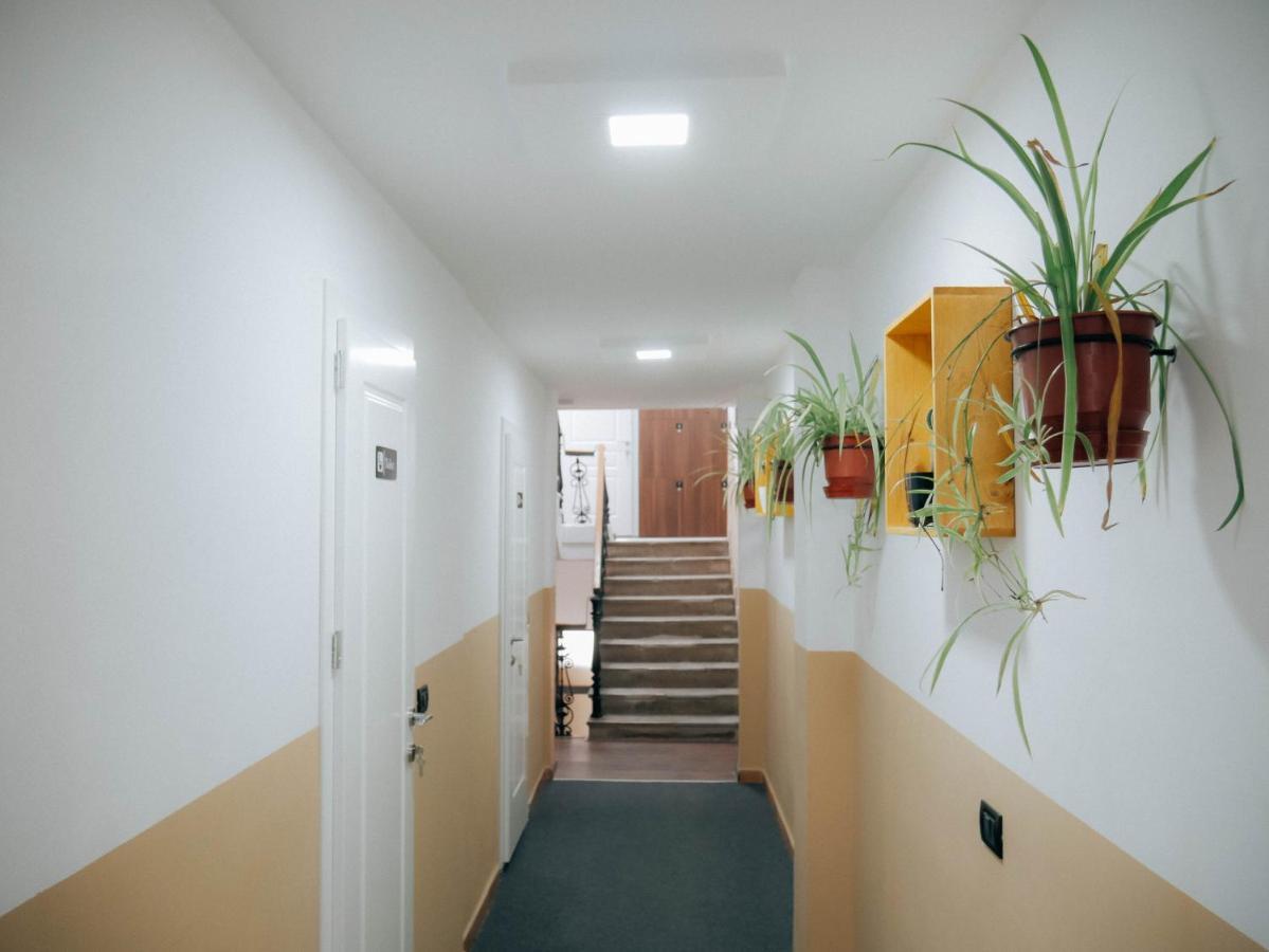 The Maze Hostel Tirana Buitenkant foto